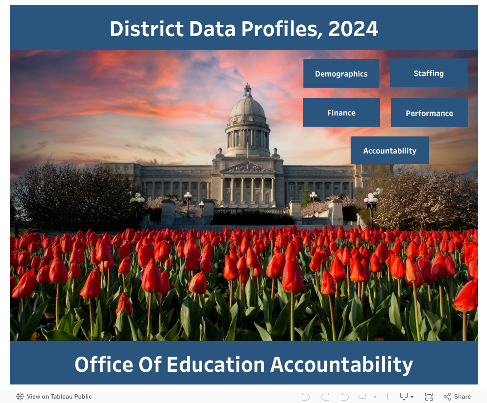 2024 Data Profiles 