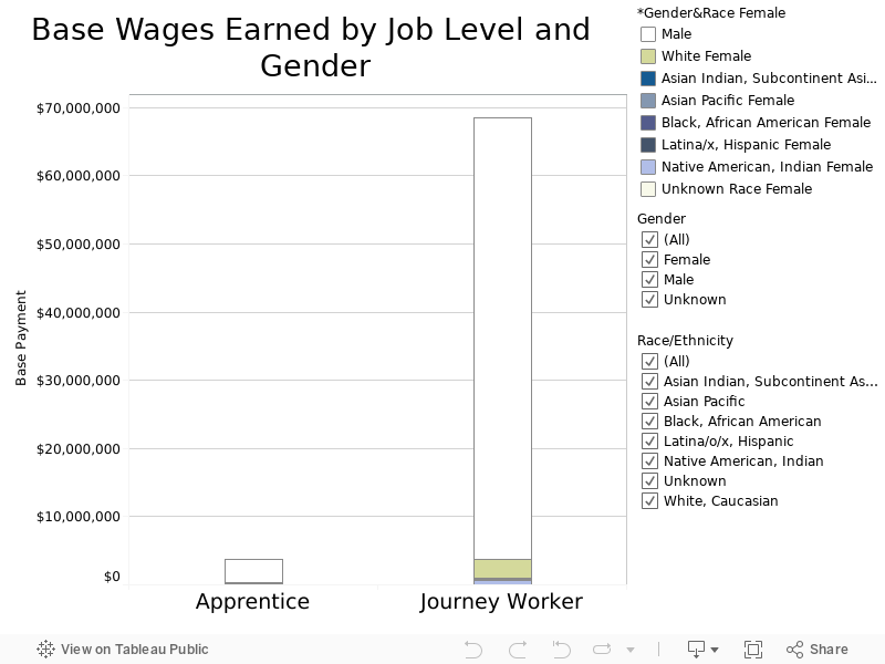 Wages Earned by Job Level and Gender 