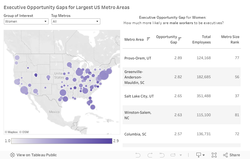 Opportunity Gaps by Metro 
