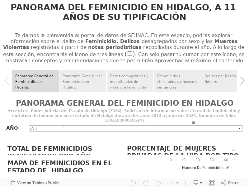 PANORAMA DEL FEMINICIDIO EN HIDALGO, A 11 AÑOS DE SU TIPIFICACIÓN 