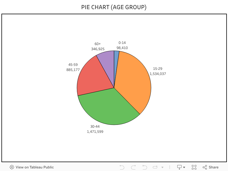 PIE CHART (AGE GROUP) 