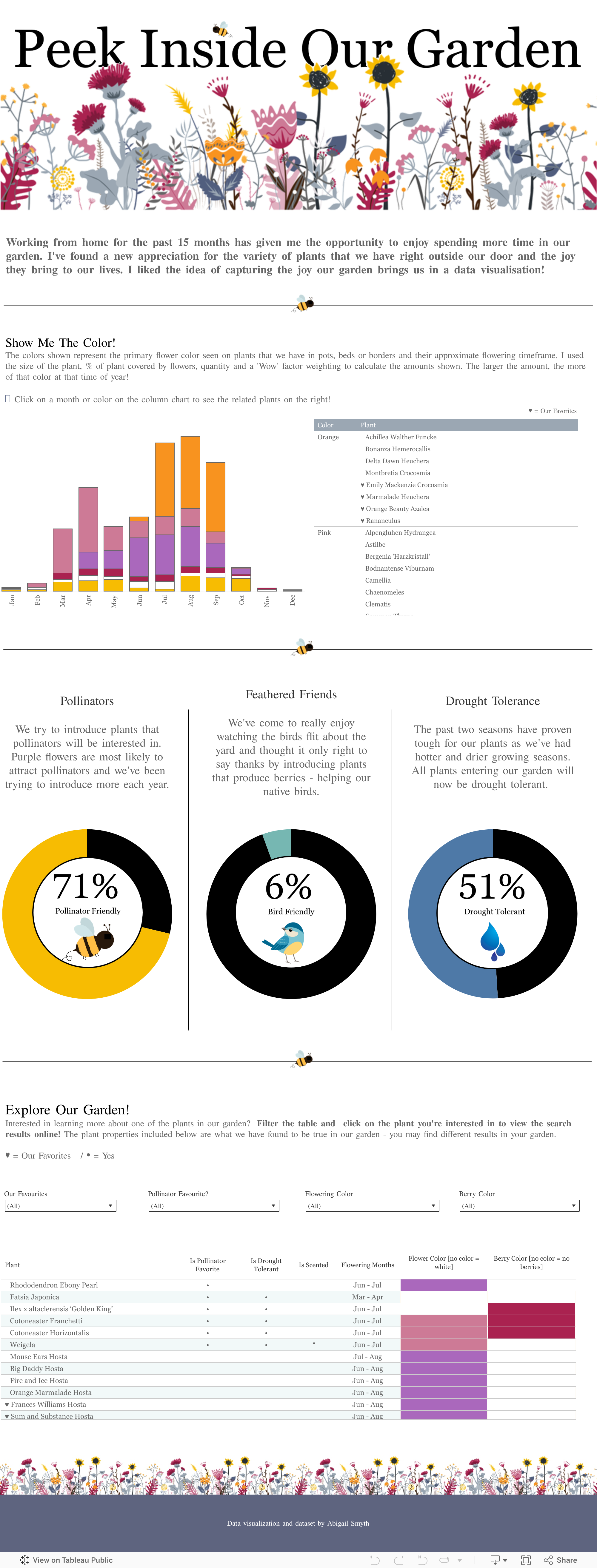 Screenshot of a dashboard from the IronViz submissions