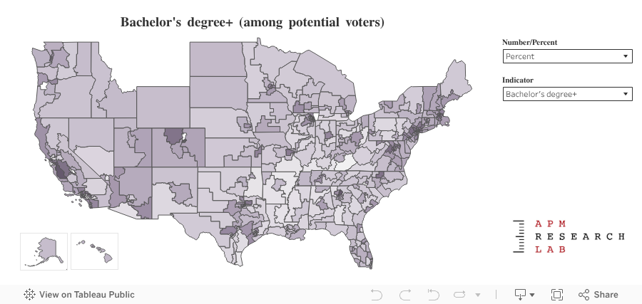 Representing US 2020 Voter Profiles APM Research Lab