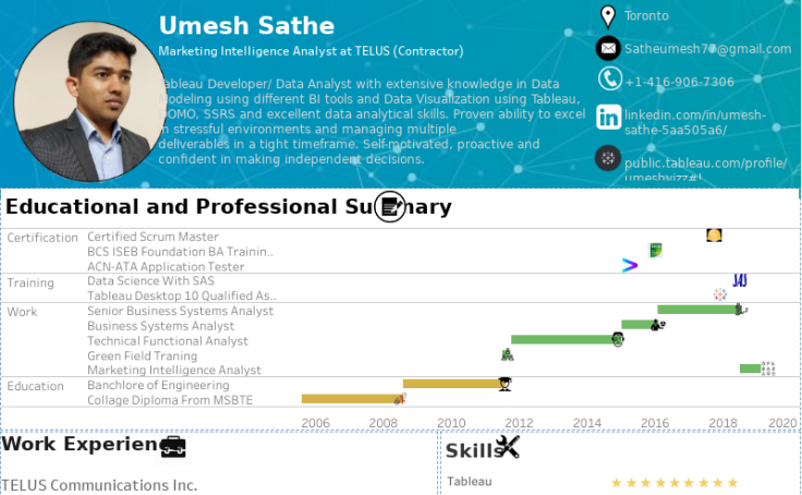 Interactive Resume Gallery | Tableau Public