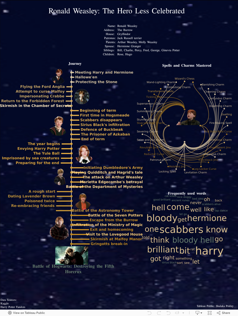 Screenshot of a dashboard from the IronViz submissions