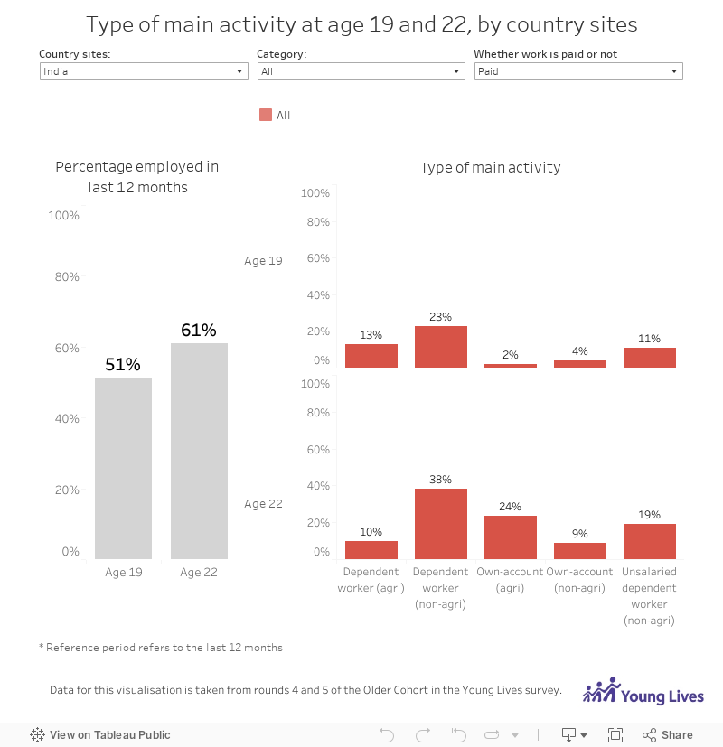 Type of main activity at age 19 and 22, by country sites 