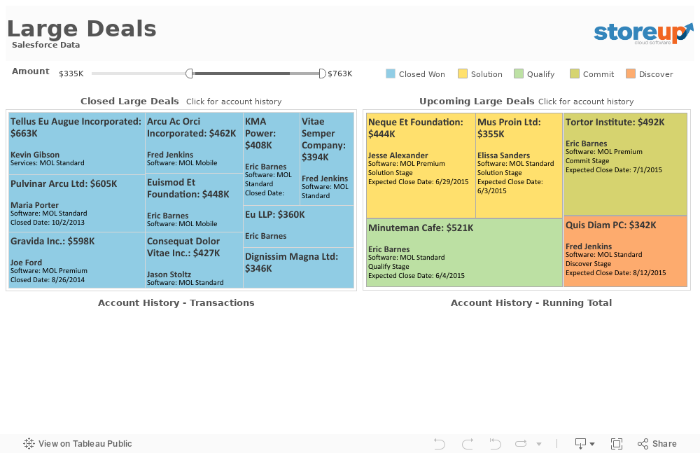 Large Deals  Salesforce Data 