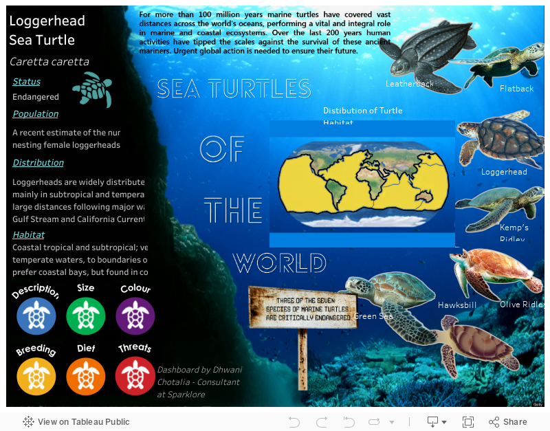 Sea Turtles of the World 