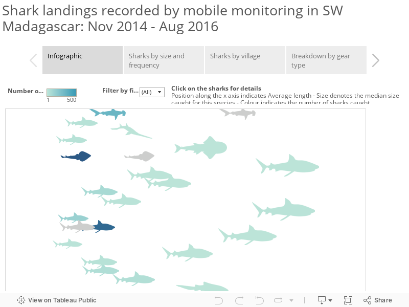 Shark landings recorded by mobile monitoring in SW Madagascar: Nov 2014 - Aug 2016 