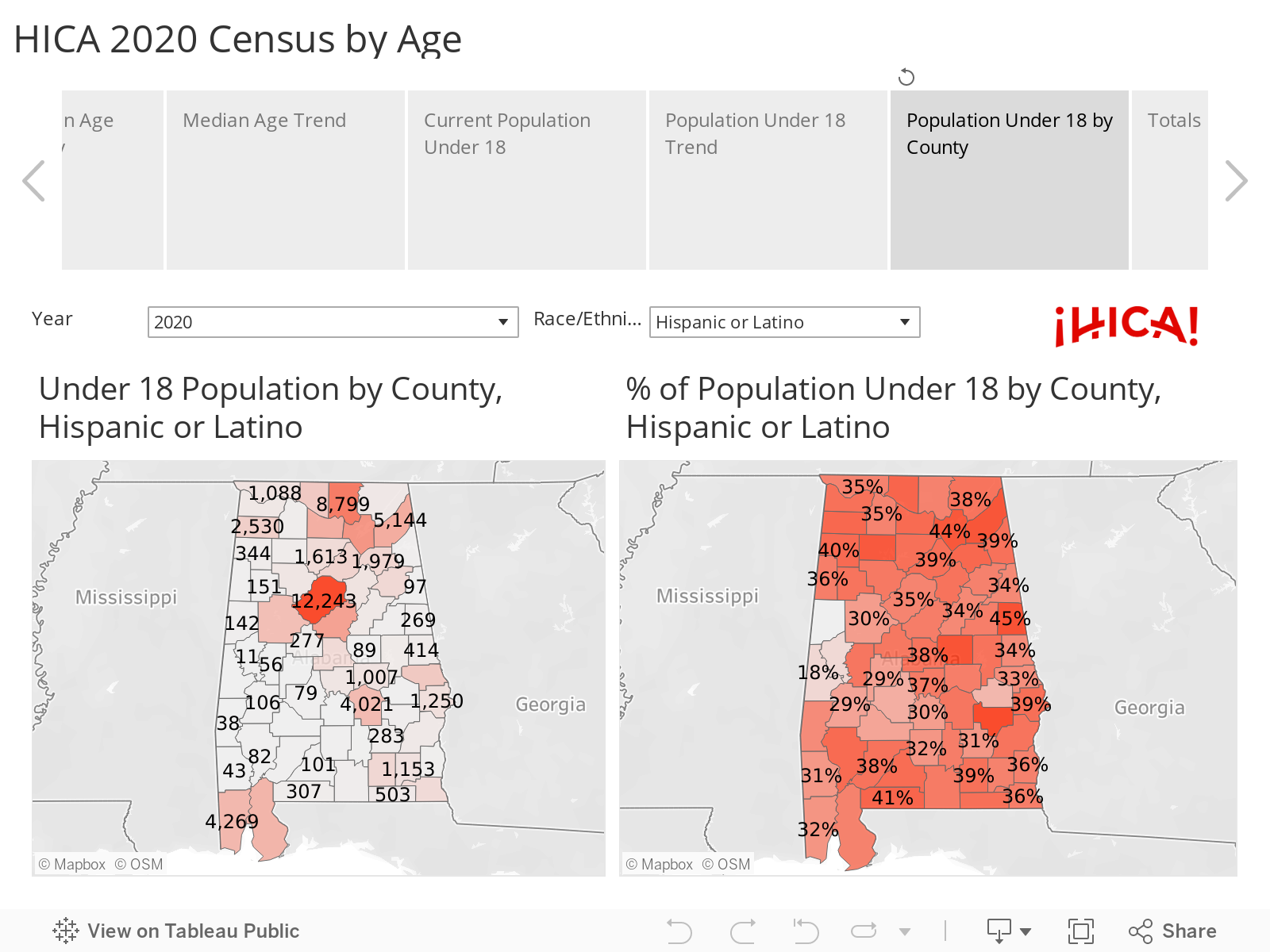 HICA 2020 Census by Age 