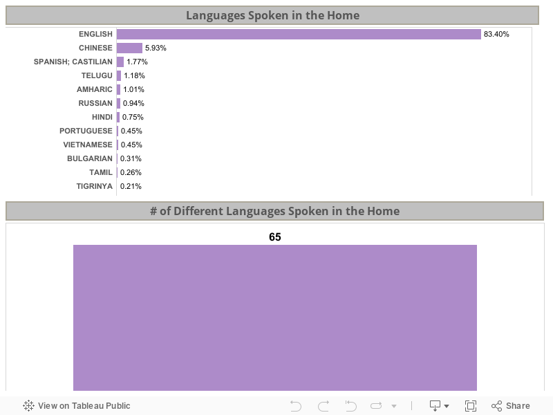 Languages Dashboard 