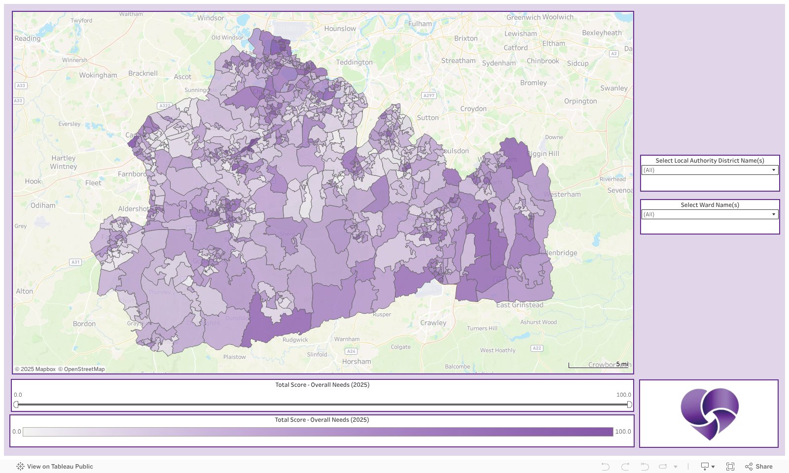 The Community Foundation for Surrey - Overall Needs (2025) 