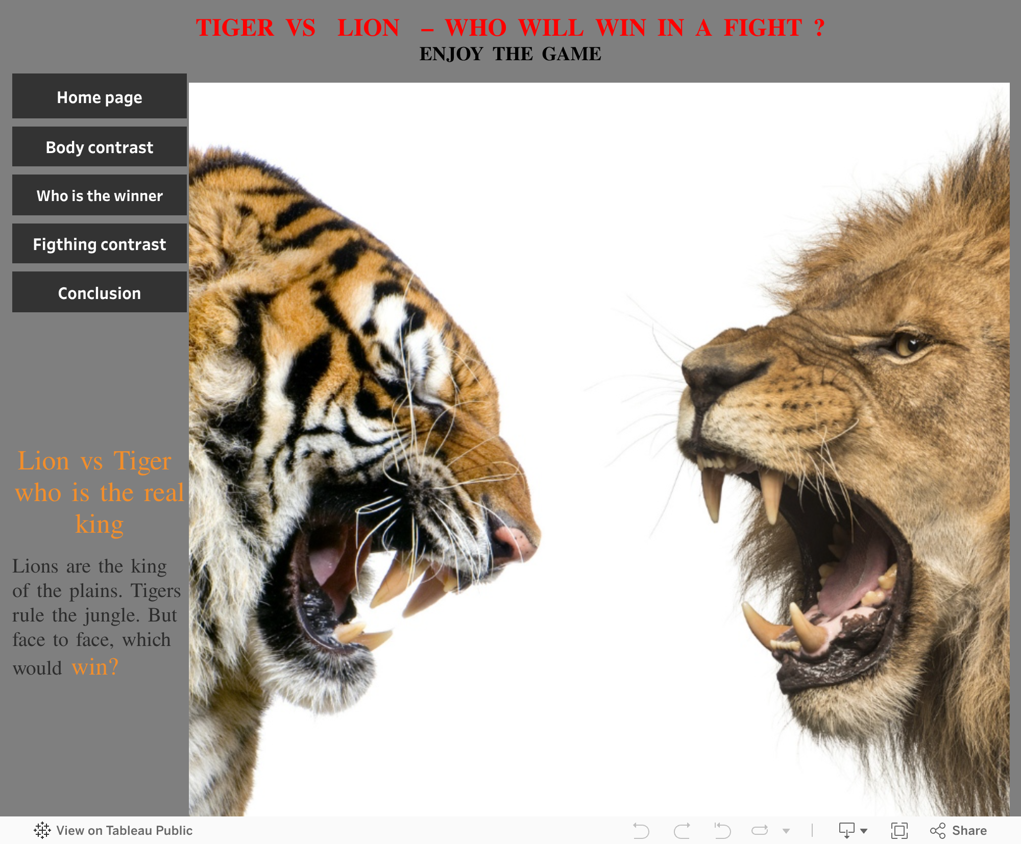 Screenshot of a dashboard from the IronViz submissions