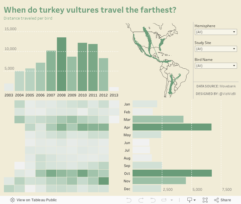 When do turkey vultures travel the farthest?Distance traveled per bird 