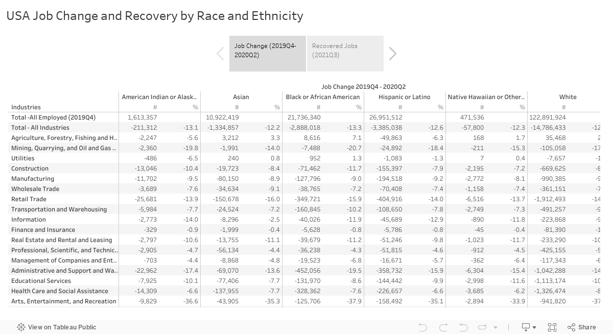 USA Job Change and Recovery by Race and Ethnicity 