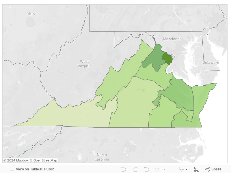 VA Demographics 