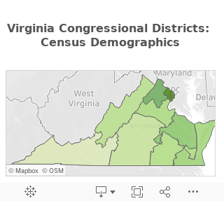 VA Demographics Mobile 