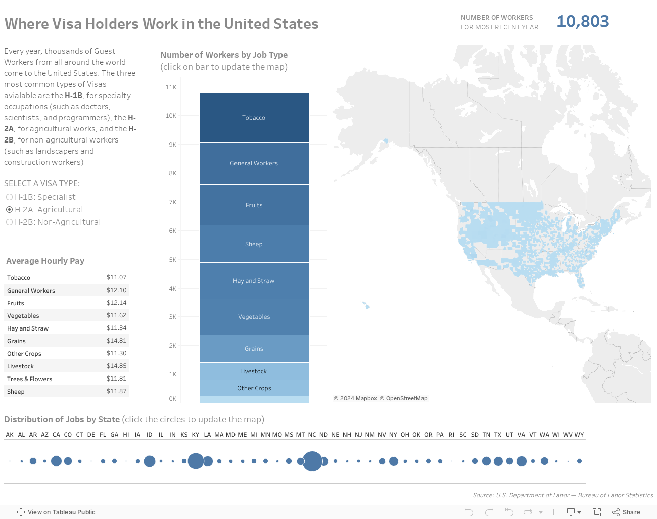 Where Visa Holders Work in the United States 