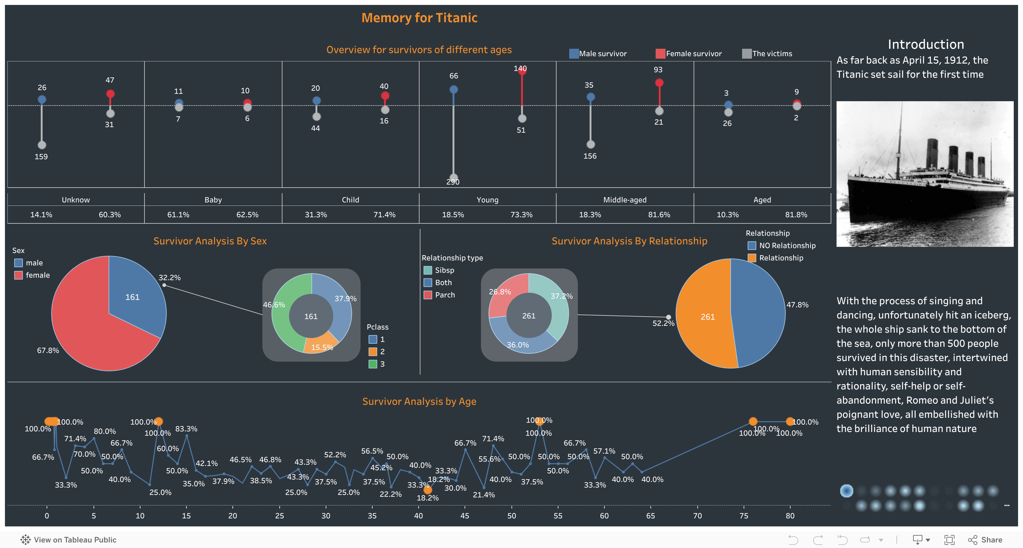 Screenshot of a dashboard from the IronViz submissions