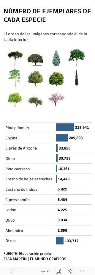 Madrid duplica el número de árboles plantados en sus parques | Madrid