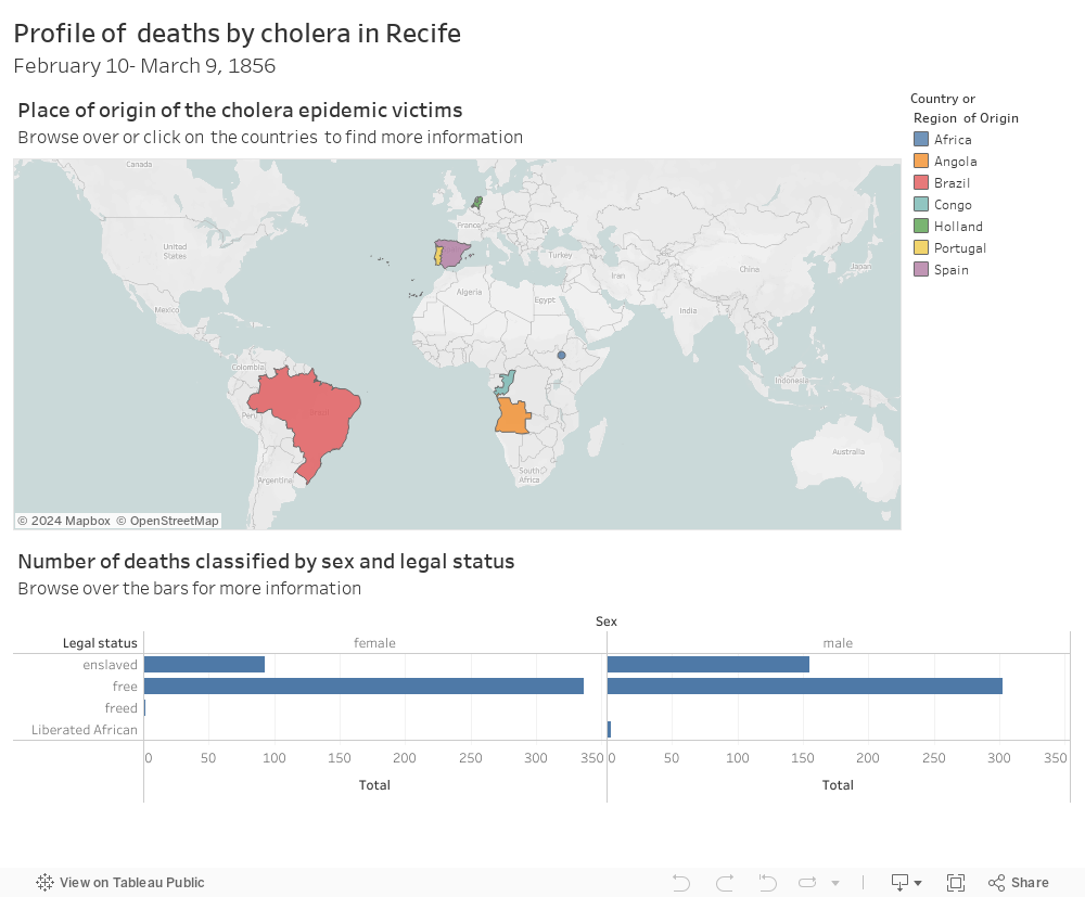 Profile of  deaths by cholera in RecifeFebruary 10- March 9, 1856 