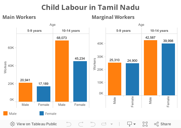 Child Labour in Tamil Nadu 