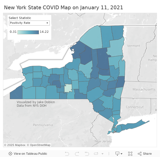 Coronavirus Statistics: Tracking The Epidemic In New York - Gothamist