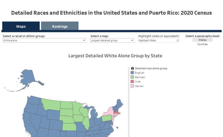 workbook-detailed-race-and-ethnicities-in-the-united-states-and-puerto