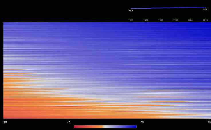 Workbook: Global Life Expectancy v1