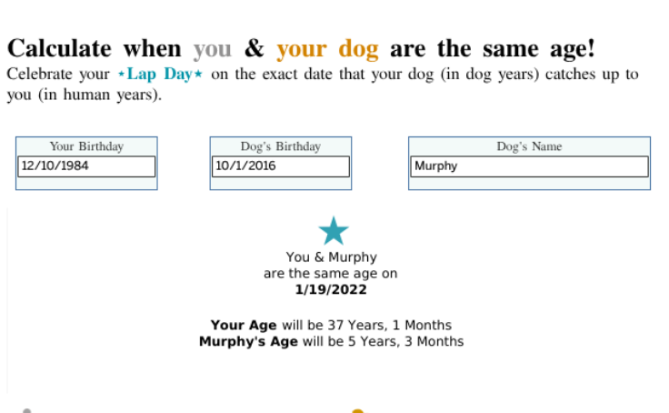 Workbook: Lap Day Calculator: When are you and your dog the same age?