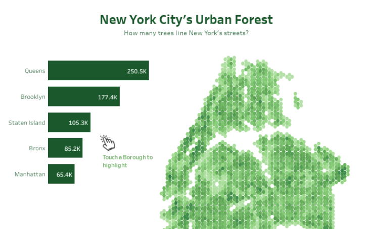 Workbook: New York Tree Census