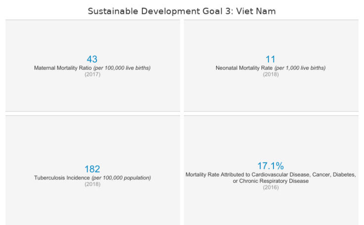 workbook-sustainable-development-goals-viet-nam