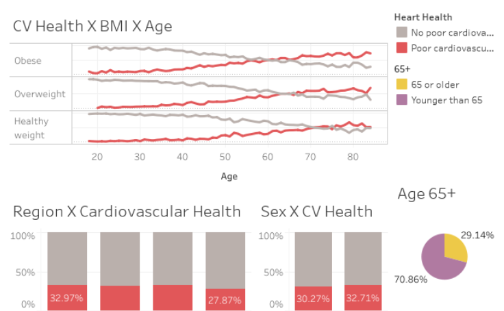 Workbook Cardiovascular Health Indicators