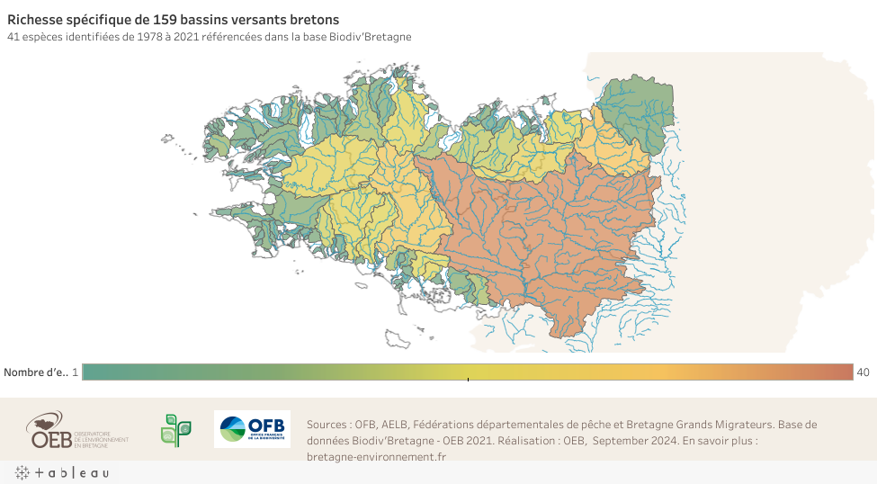Richesse spécifique des bassins versants bretons